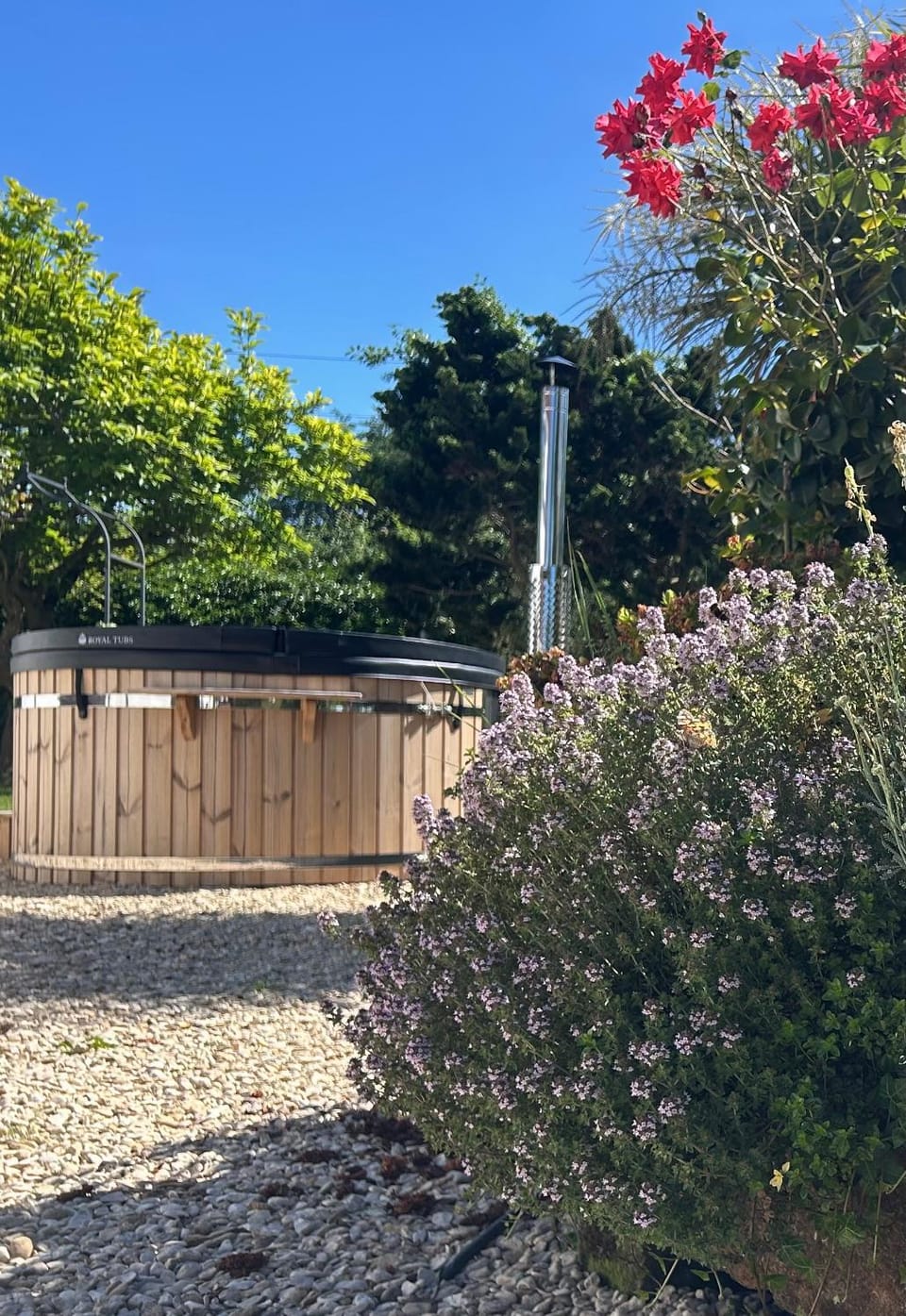 Spring, Day, Garden, Garden view