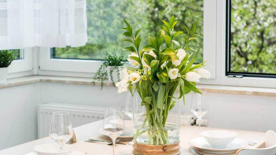 Spring, View (from property/room), Food and drinks, Dining area