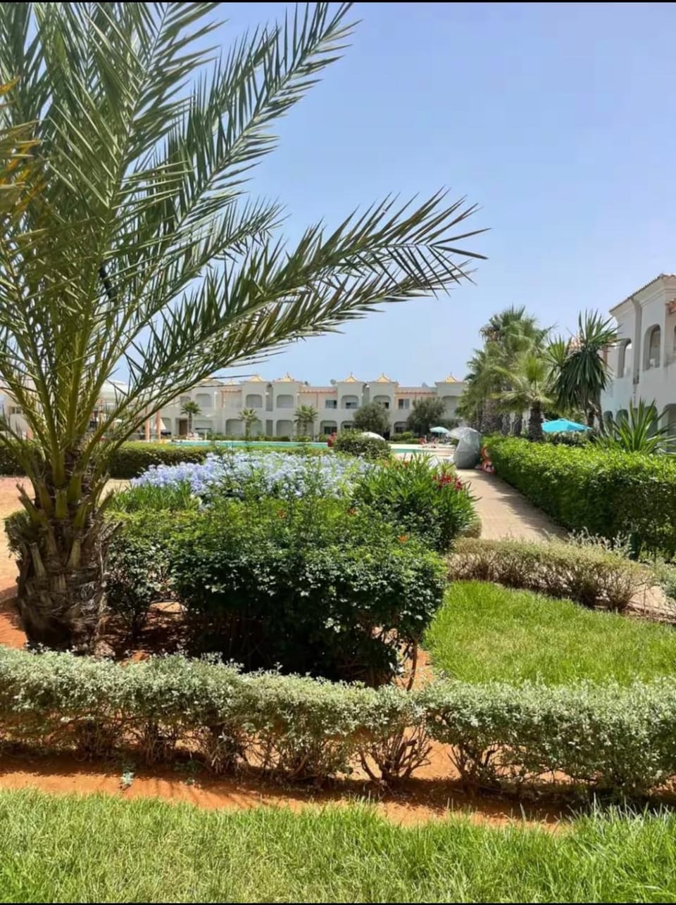 Garden, Pool view, Swimming pool