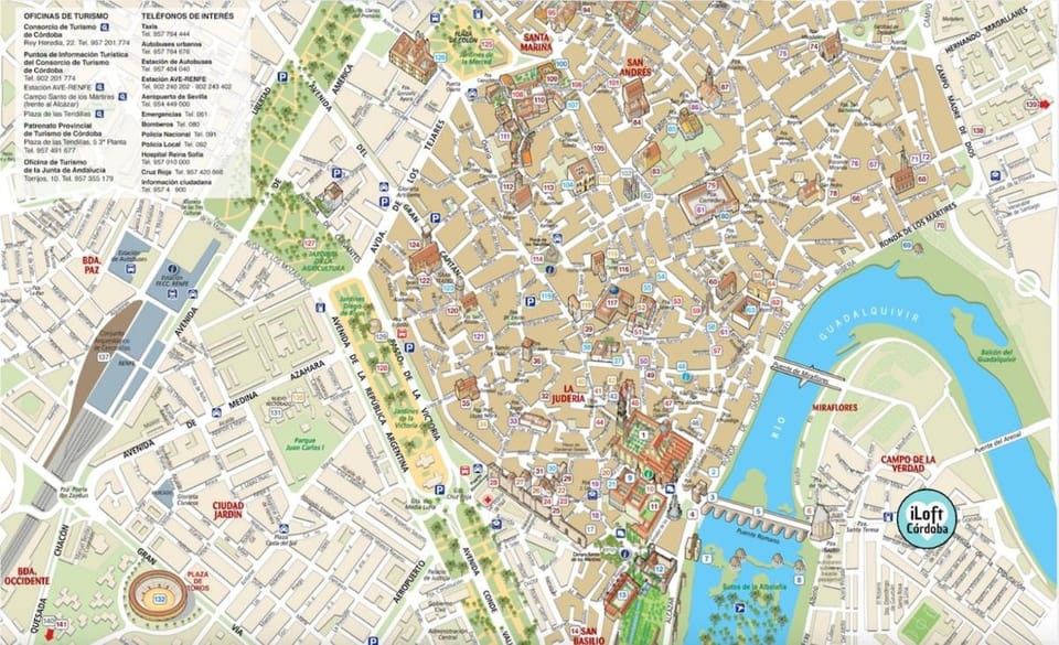 Bird's eye view, Location