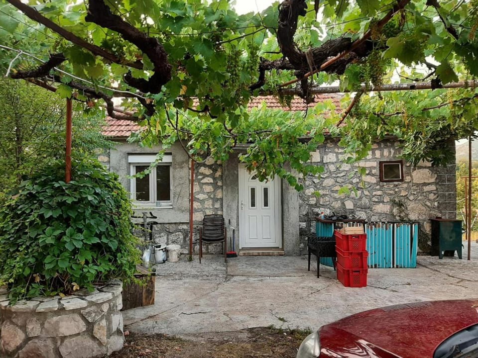 Patio, Day, Garden