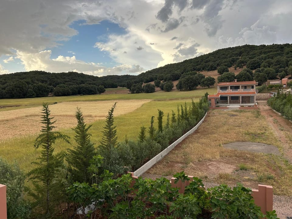 View (from property/room)