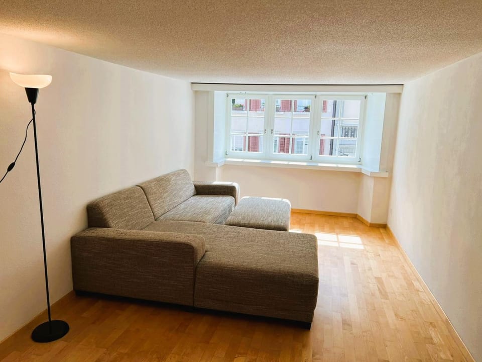 2 room Flat in Old Town City Center RENN Apartment in Zurich City