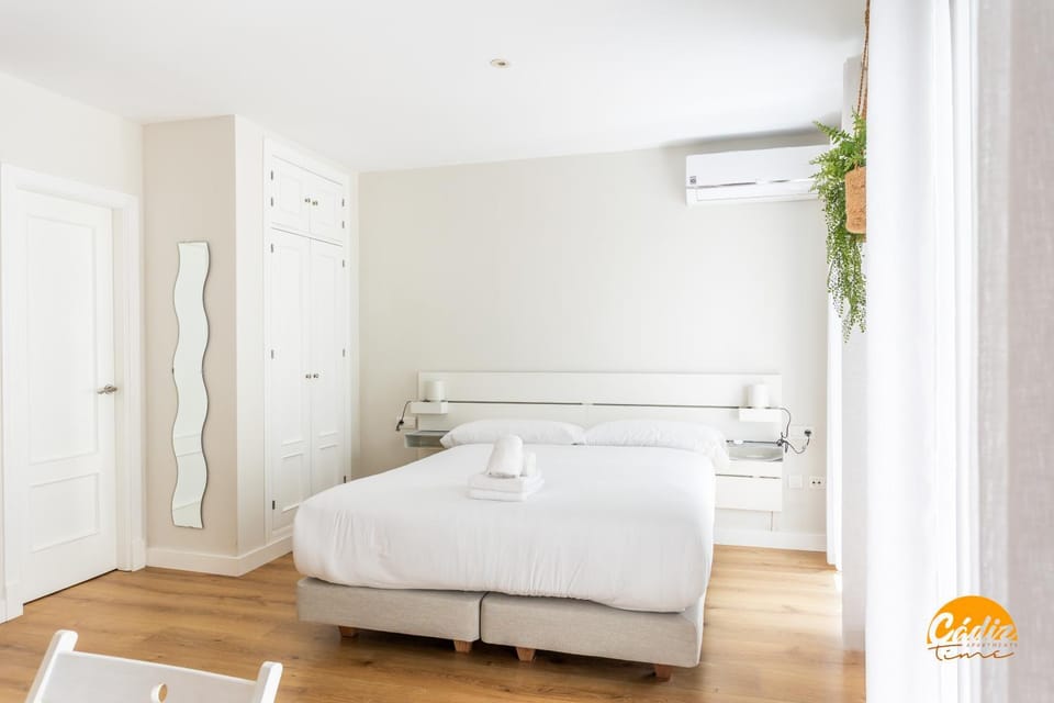 El Loft de la Catedral by Cadiz Time Apartment in Cadiz