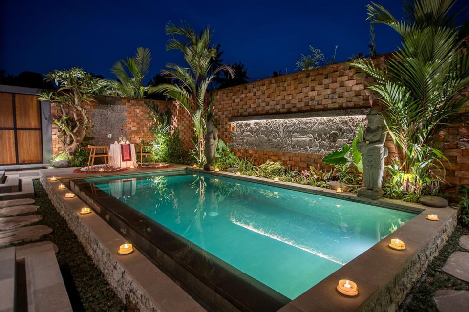 Night, Garden, Garden view, Pool view, Swimming pool, sunbed