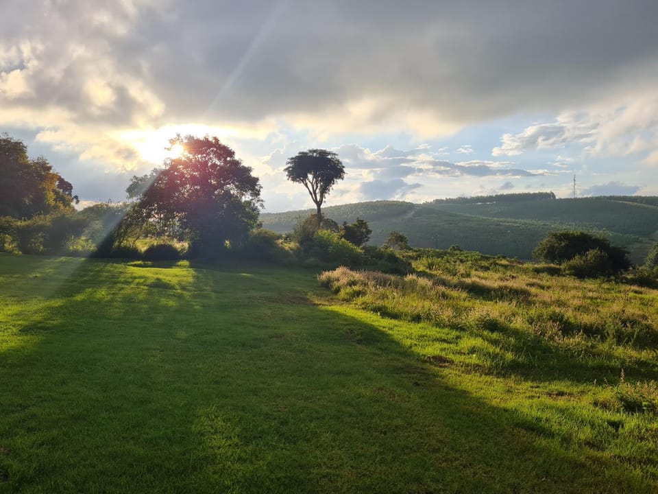 Natural landscape, Garden