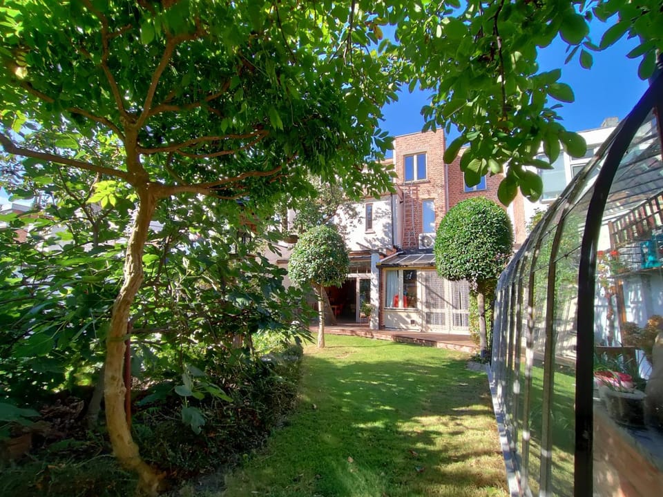 Day, Garden, Garden view