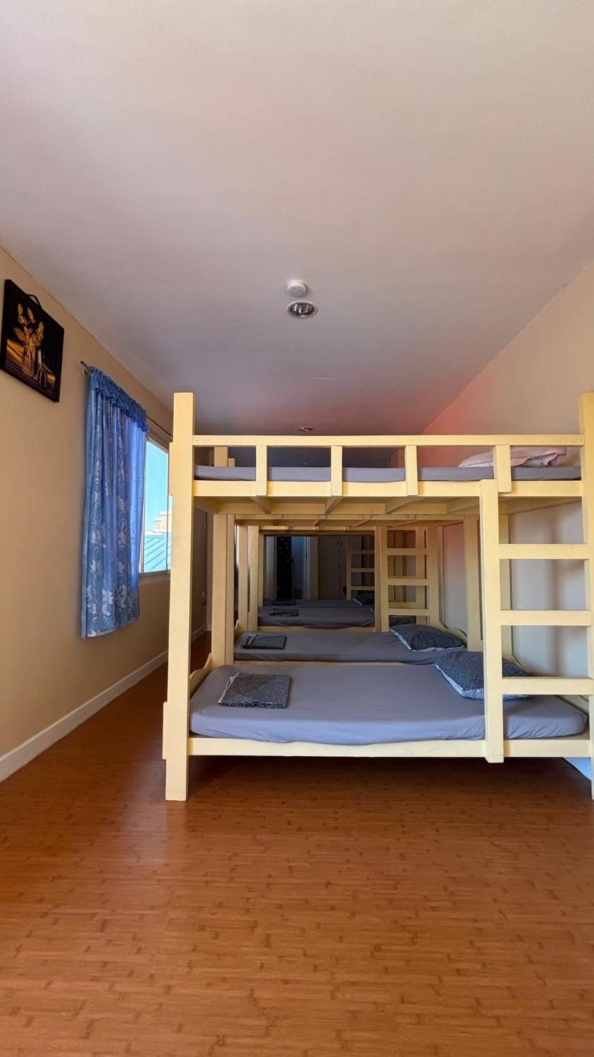 bunk bed