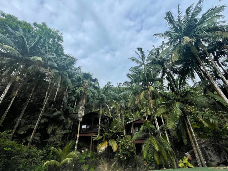 Natural landscape