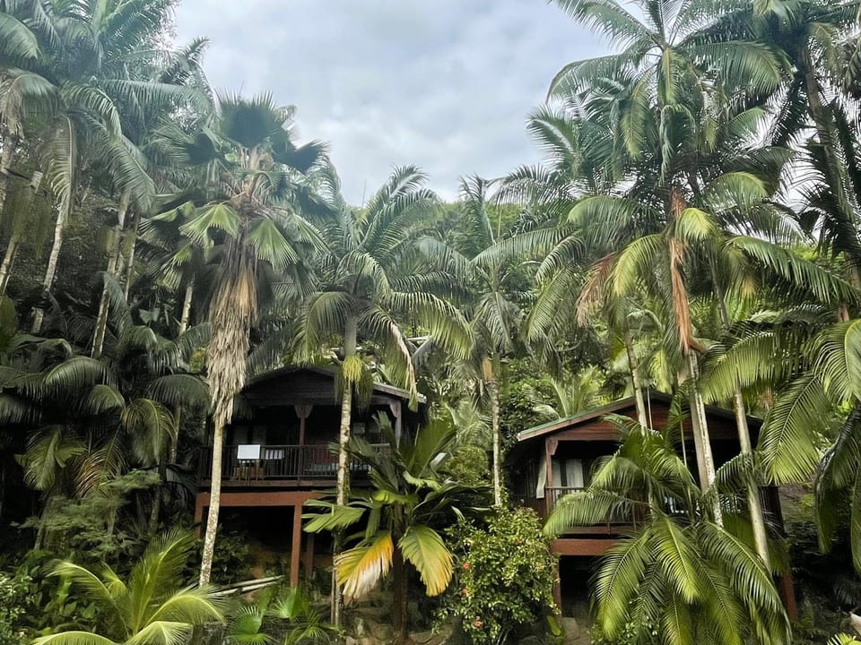 Property building, Natural landscape, Garden
