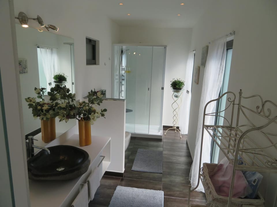 Shower, Toilet