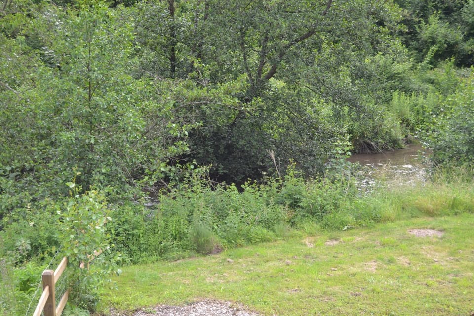 Garden, Garden view