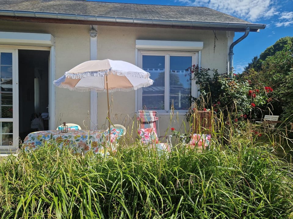 Patio, Garden