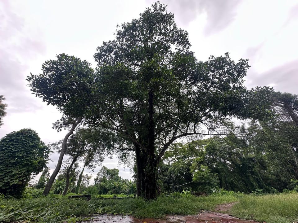 Warriam Road Campground/ 
RV Resort in Kochi