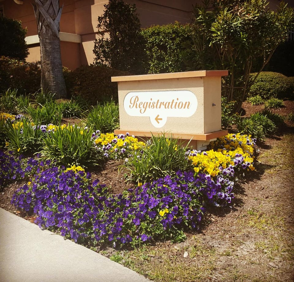 1212 - Type C Angled Oceanview Apartment in North Myrtle Beach