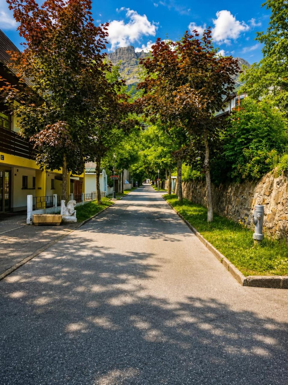 Spring, Day, Neighbourhood, Natural landscape, Street view