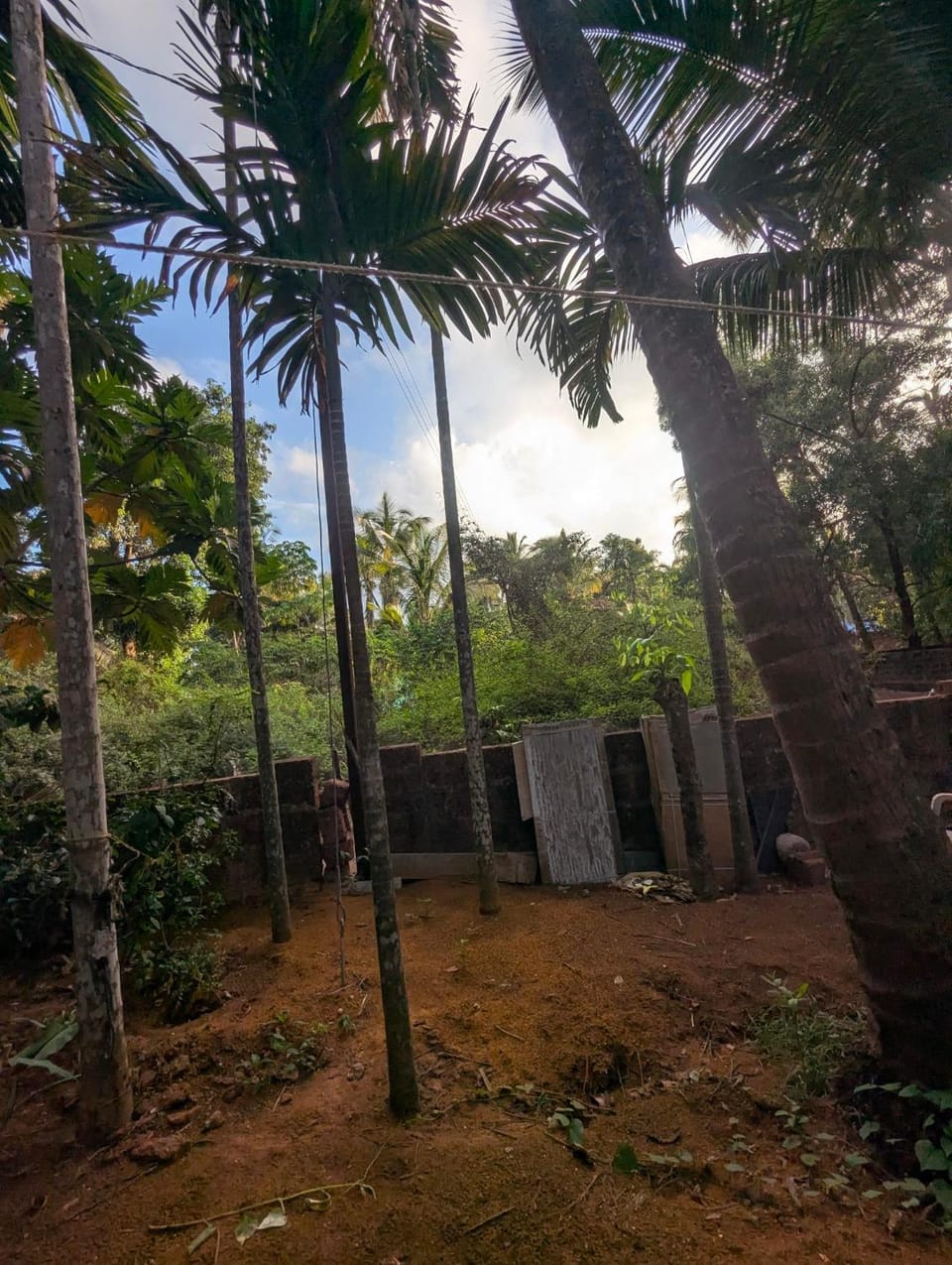 Garden, View (from property/room)