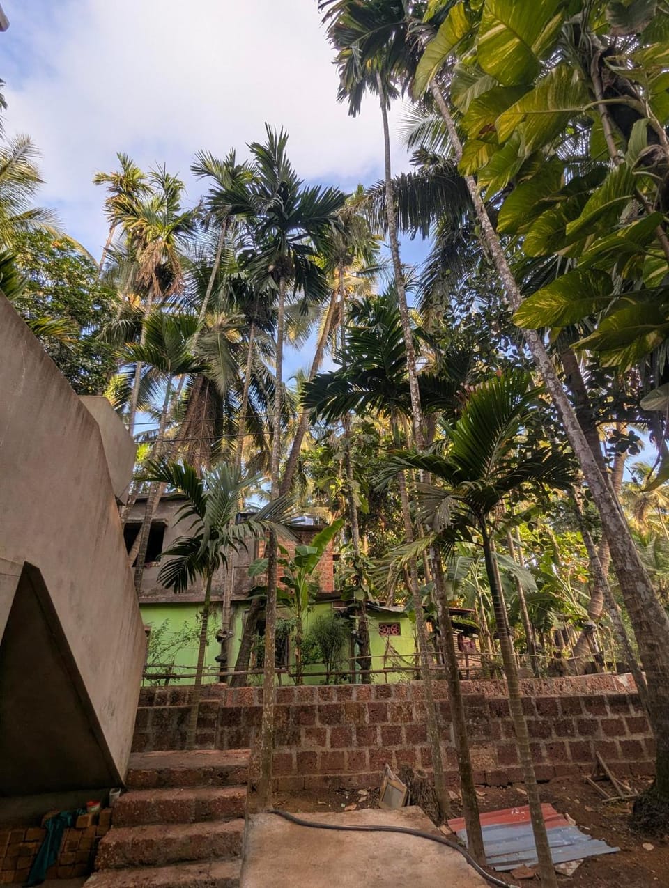Garden view, Garden view
