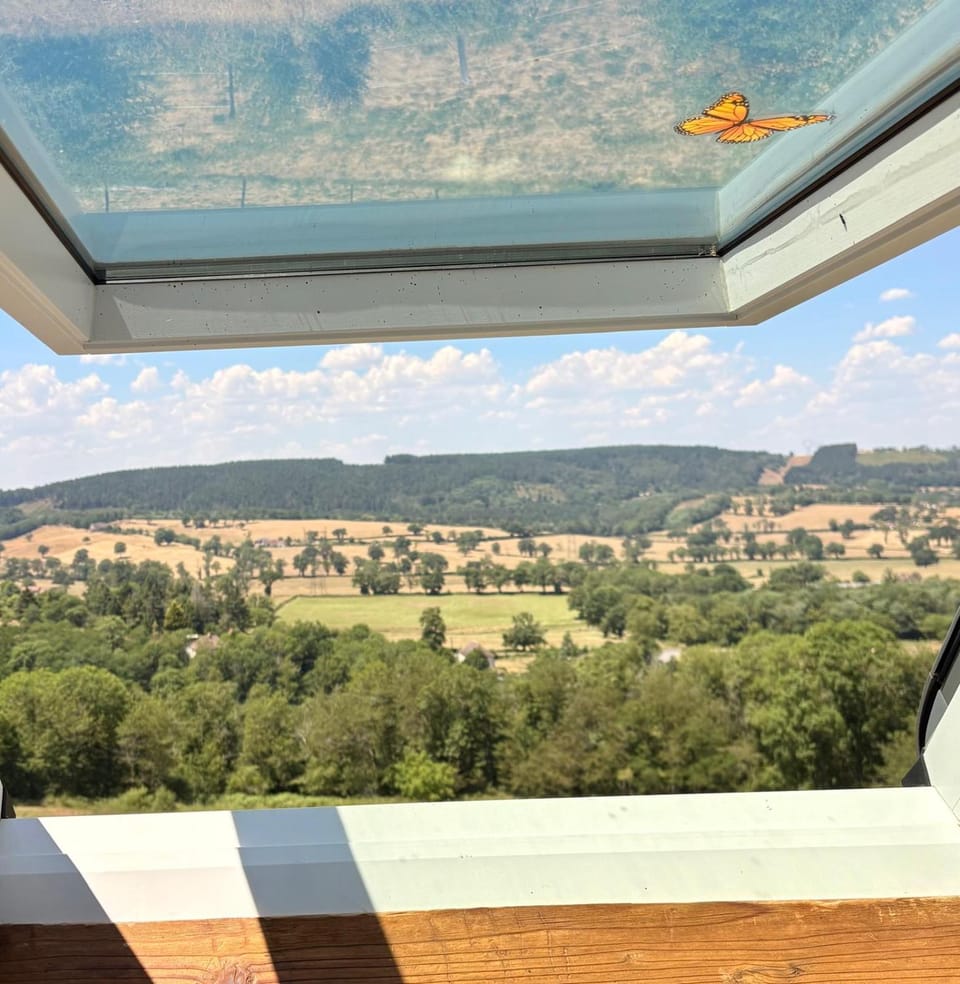 Mountain view