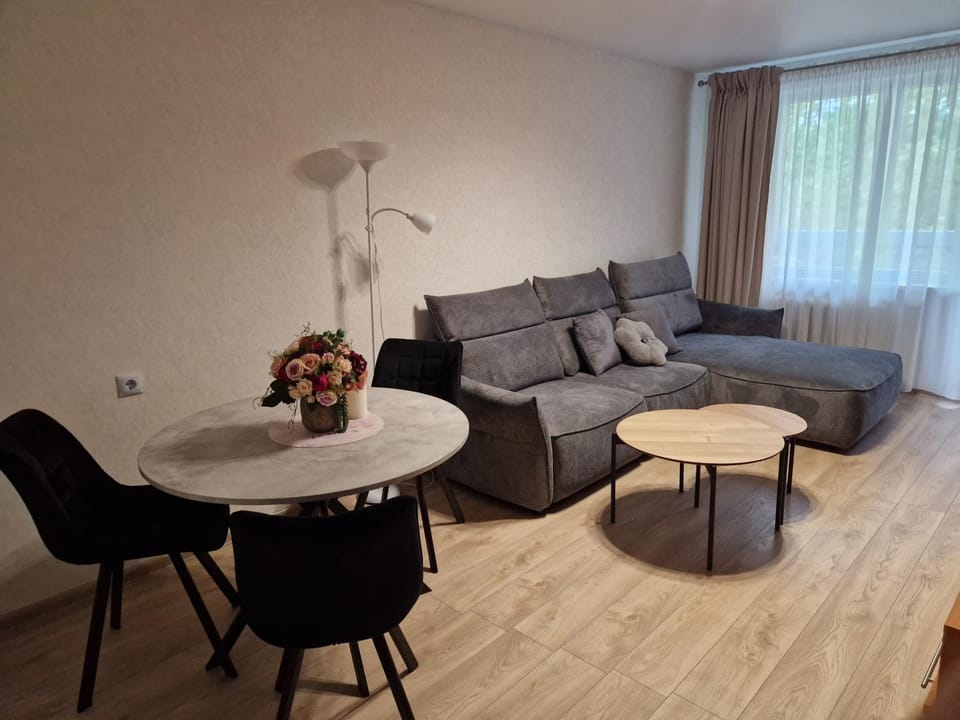 Bed, Living room, Seating area, Dining area
