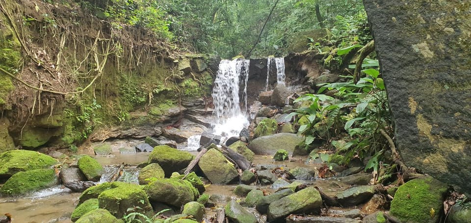 REB Casa Itanhangá Bed and Breakfast in Rio de Janeiro