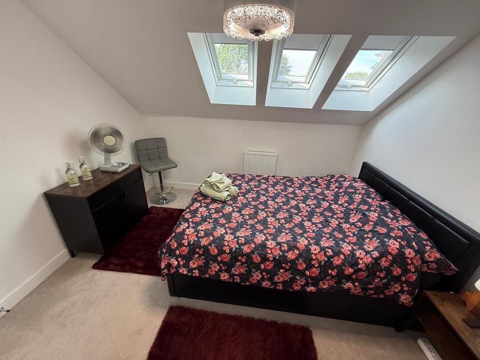 Photo of the whole room, Bedroom, towels
