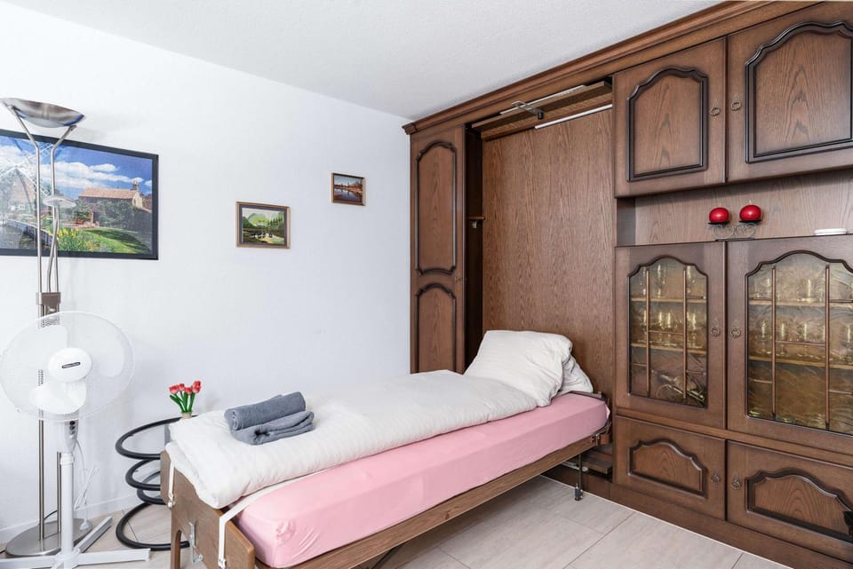 Cozy Alpine Studio in Wiriehorn with Parking Apartment in Canton of Valais