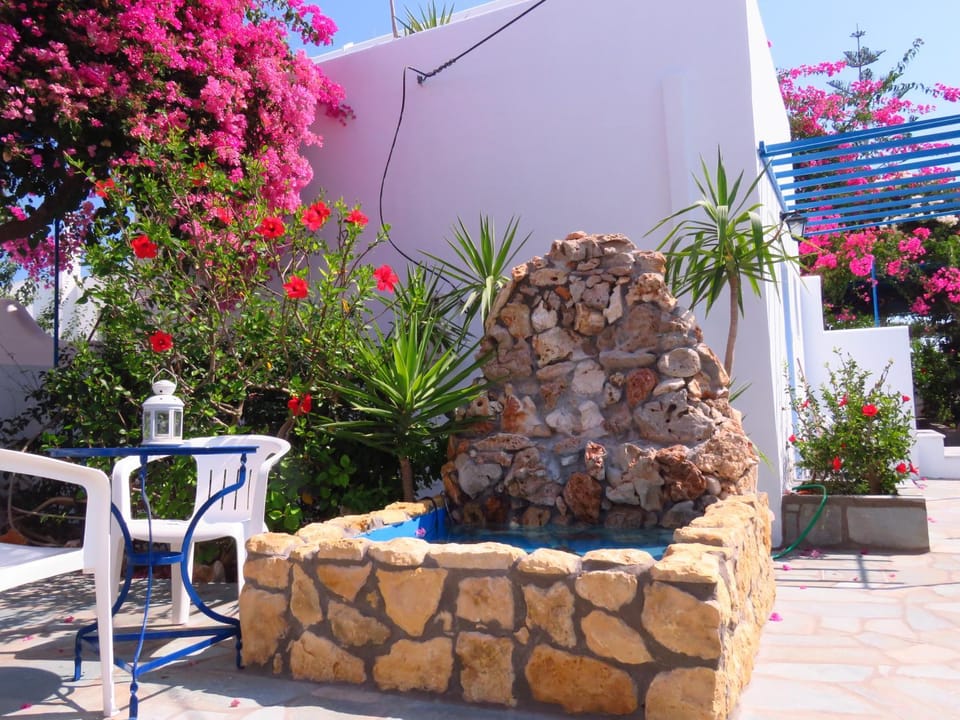 Property building, Garden, Garden view