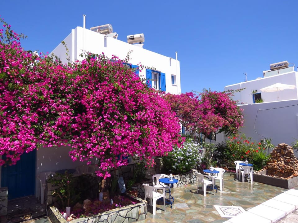 Property building, Garden view, Garden view