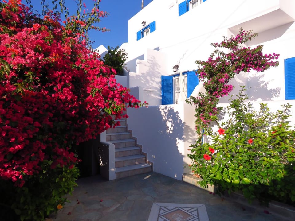 Property building, Garden view, Garden view