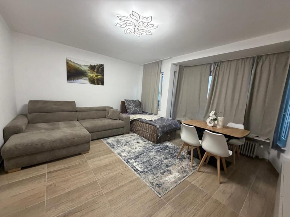 Downtown Apartment in Bonn