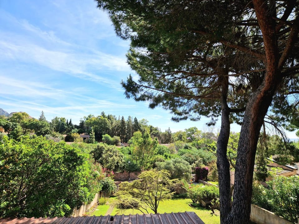 View (from property/room)