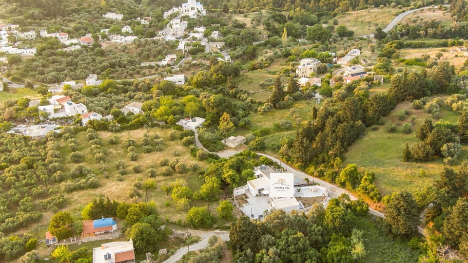 Neighbourhood, Natural landscape, Bird's eye view