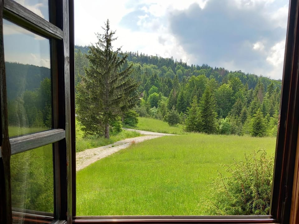 Mountain view