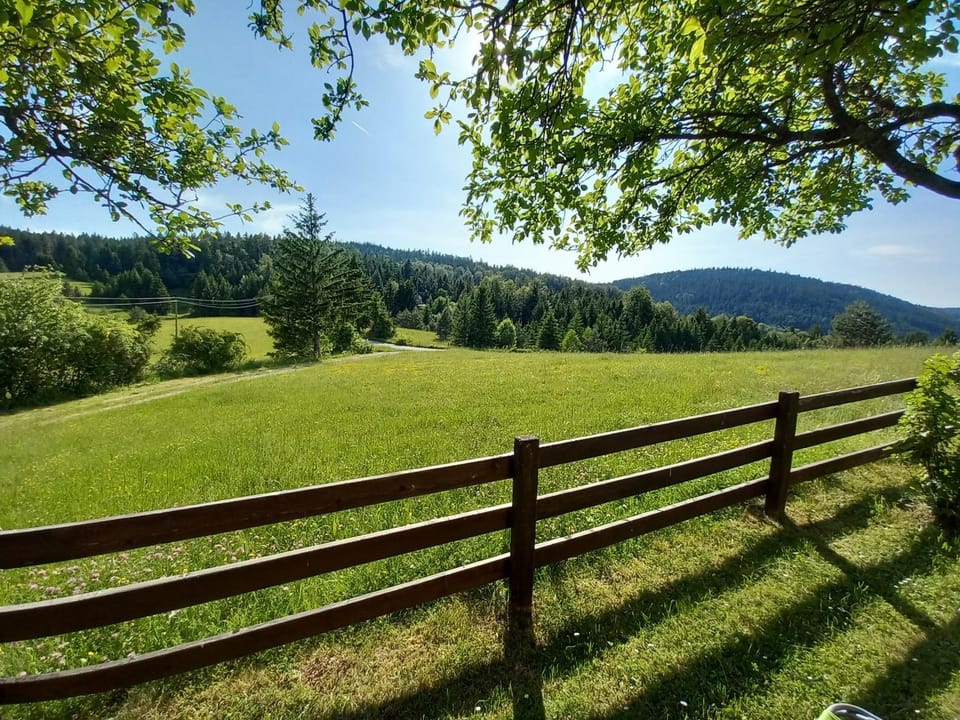 Mountain view
