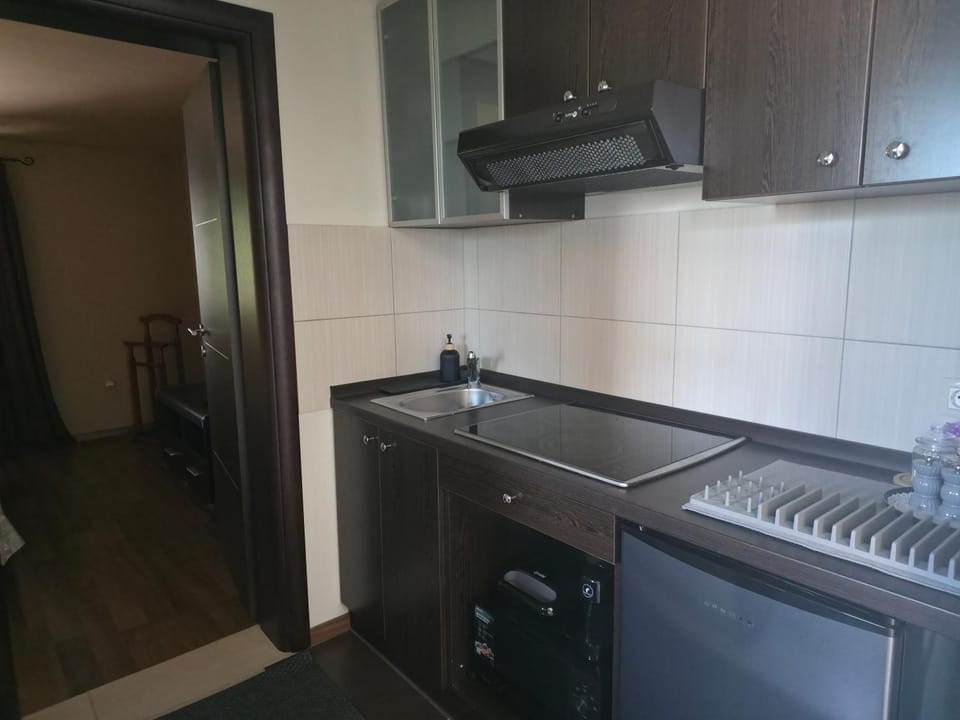 Kitchen or kitchenette, minibar, stove