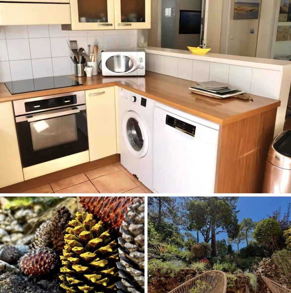 Garden, kitchen
