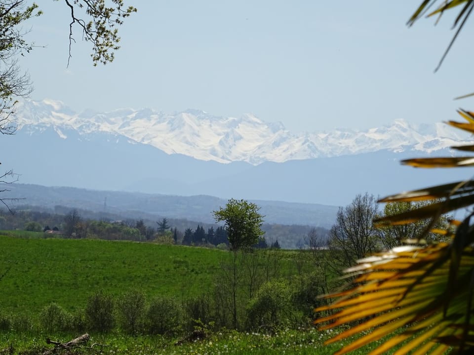 Mountain view