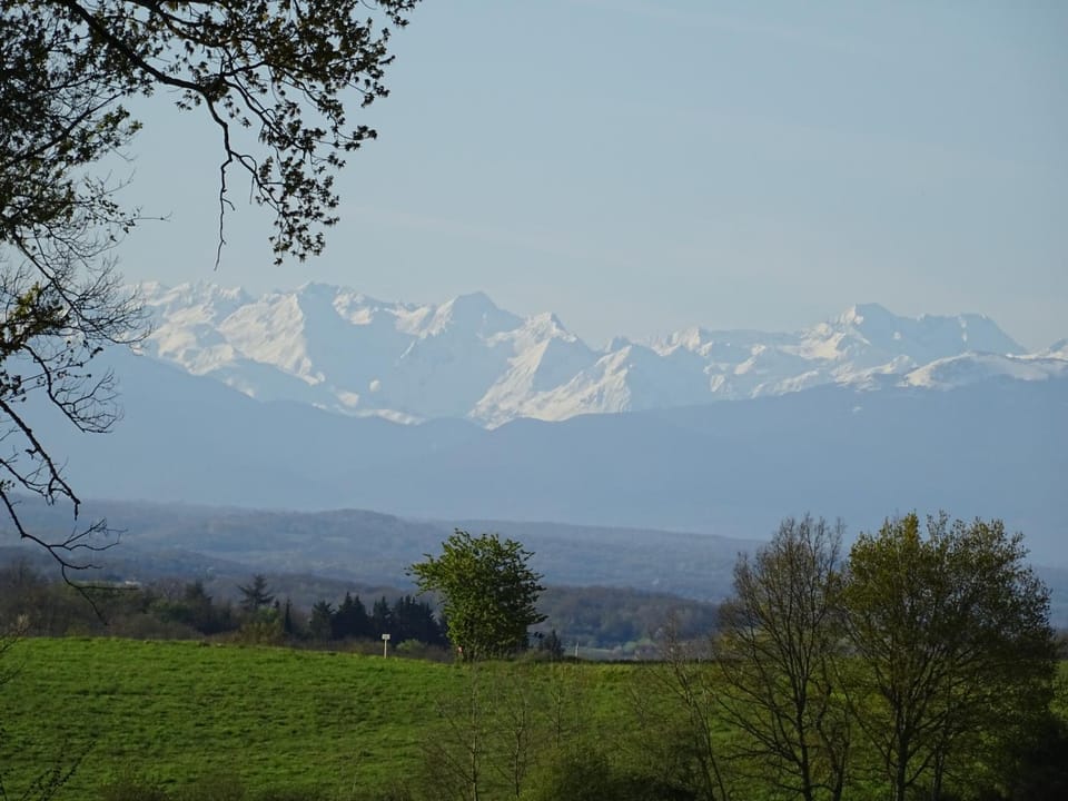 Landmark view