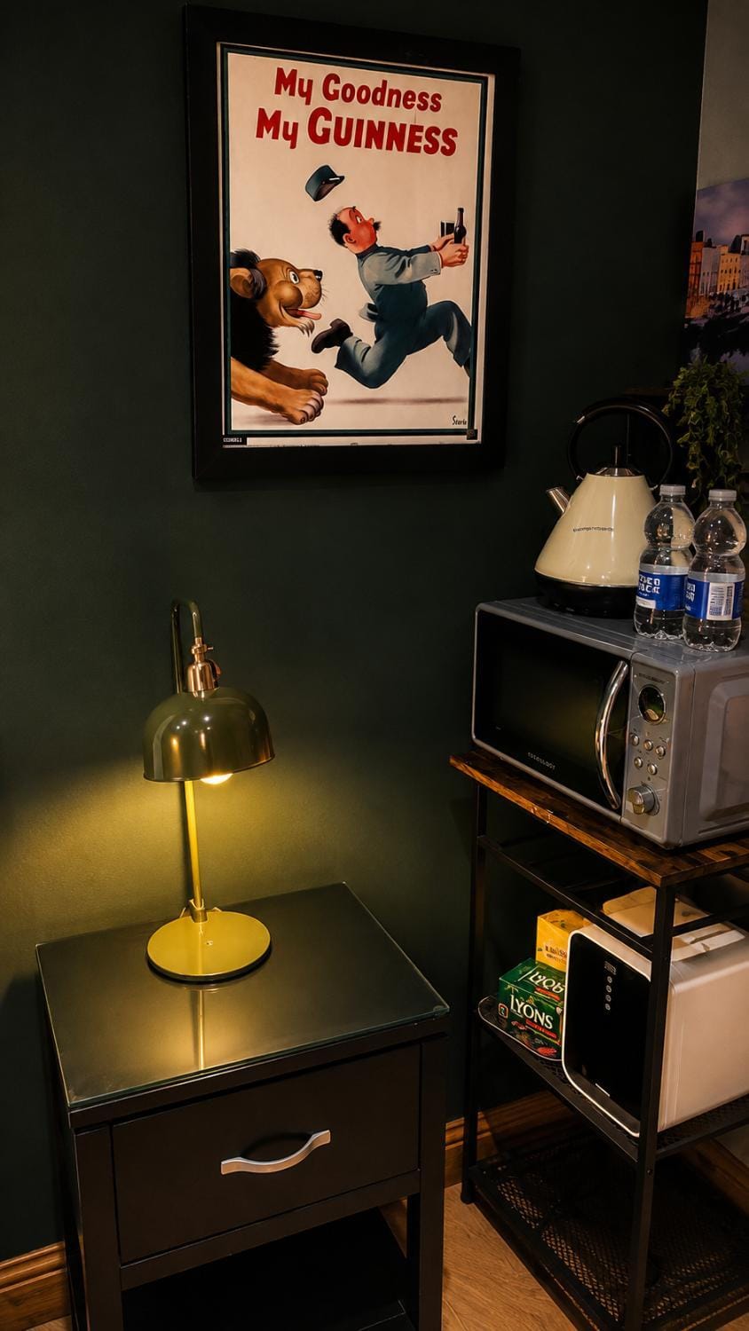 Modern Double Room with Private Bathroom in Host's Dublin Apartment Bed and Breakfast in Dublin