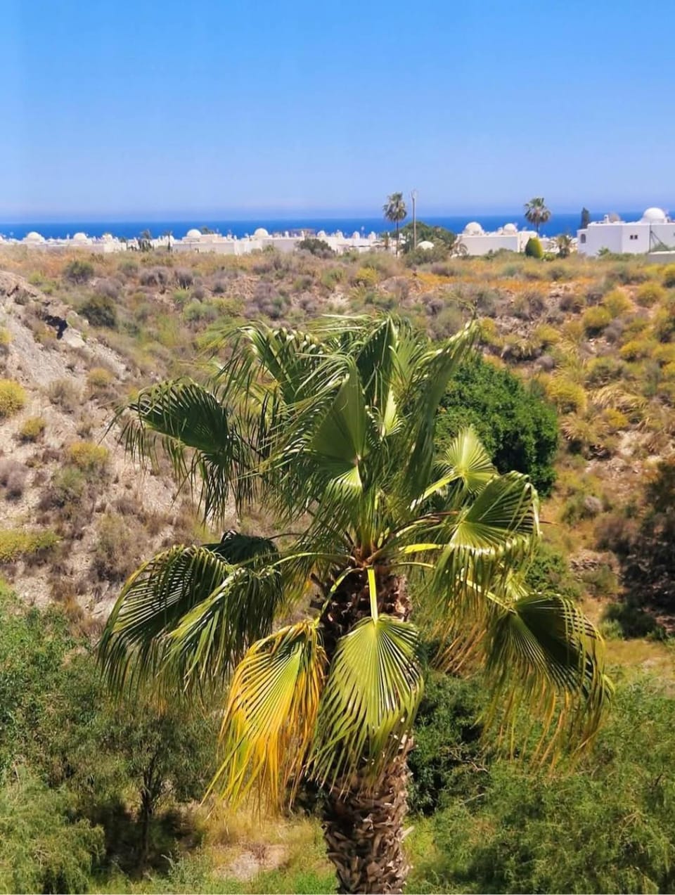 Sea view