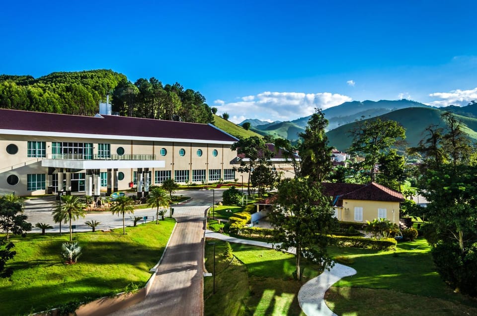 Property building, Day, Garden