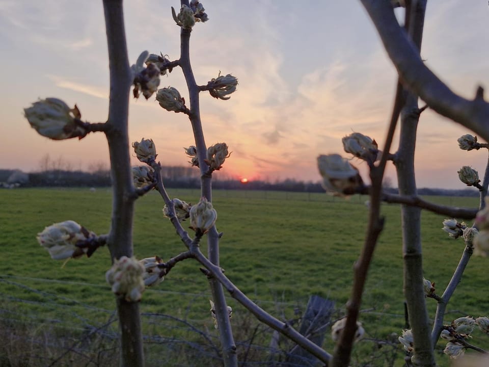 Natural landscape, Sunset
