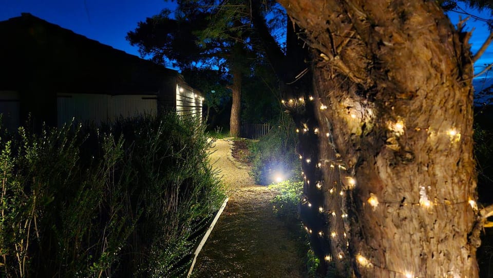 Night, Garden view