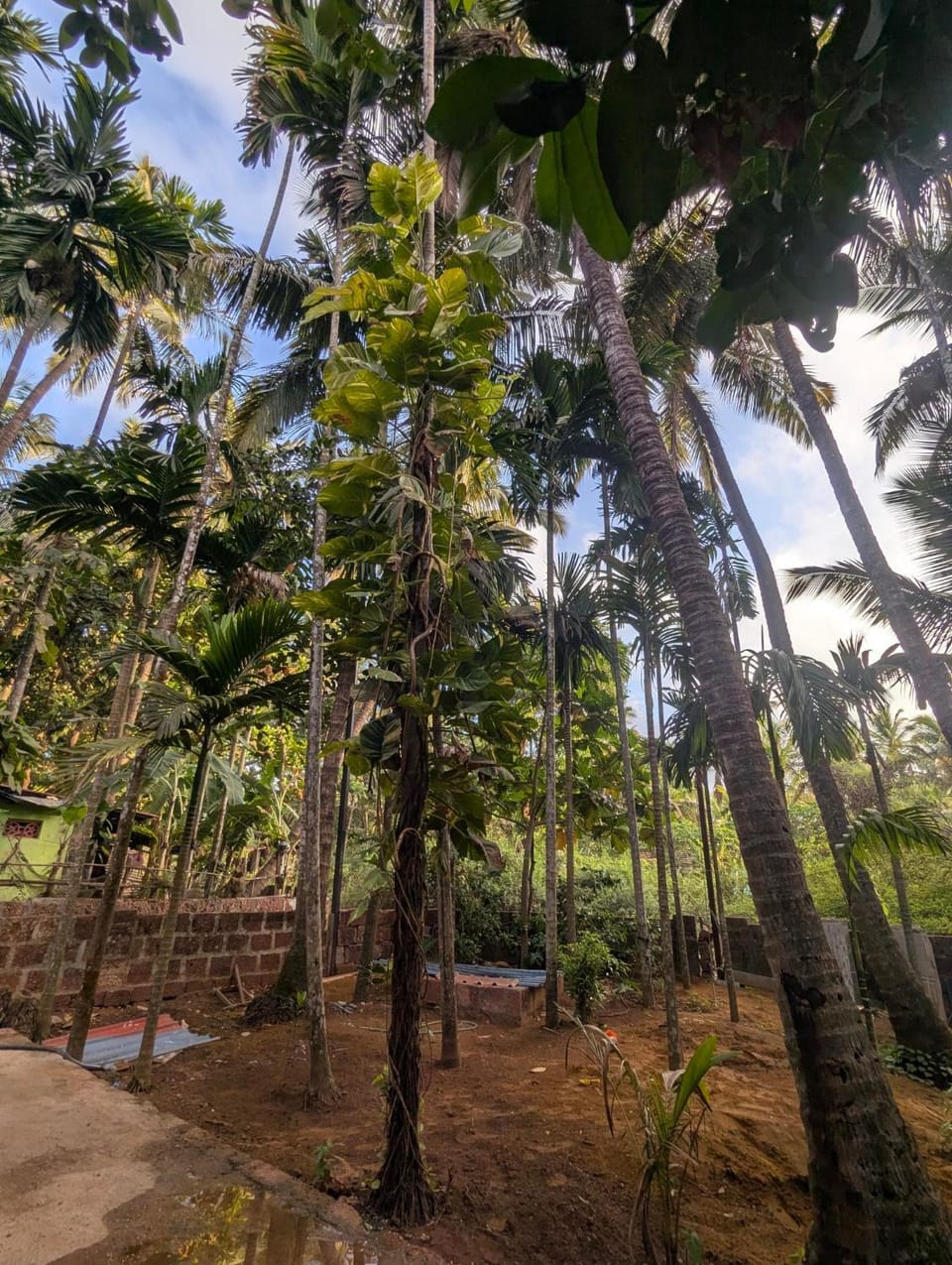 Hindlekar home stay Vacation rental in Maharashtra