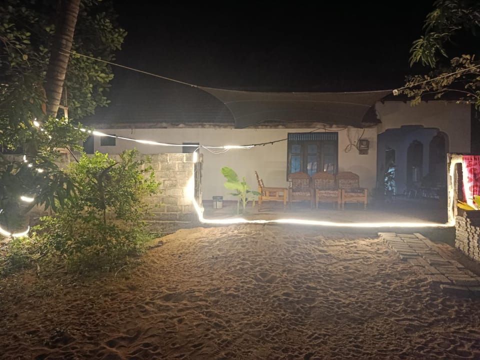 Night, Garden, Garden view
