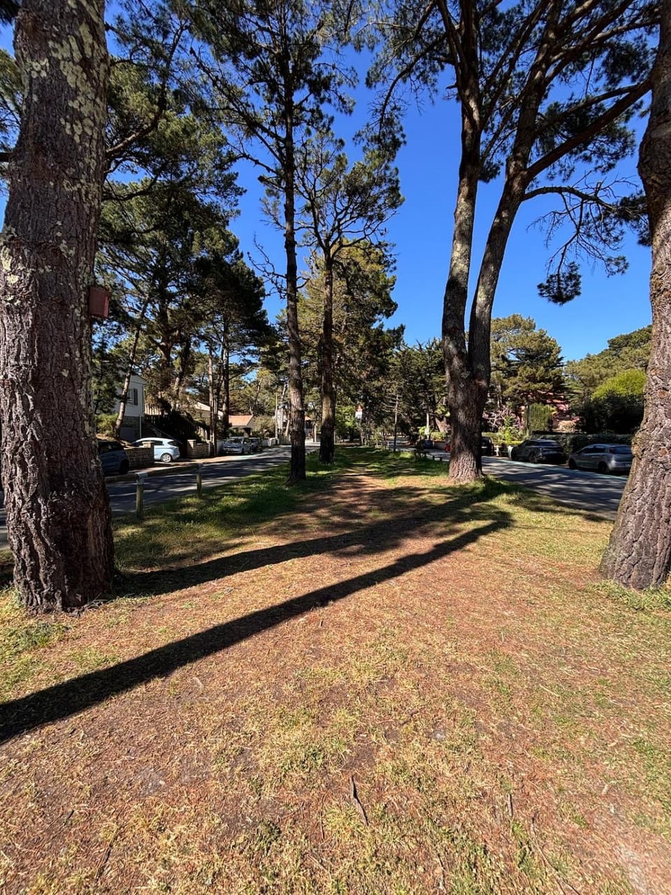 Ti Gon - Le Cabanon Baulois Apartment in La Baule-Escoublac