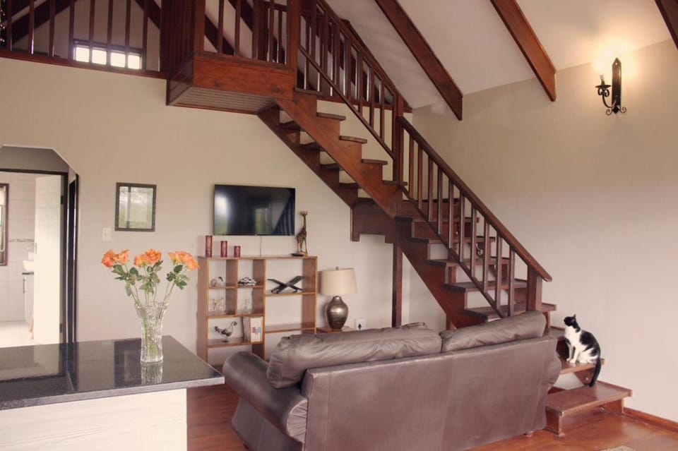 Living room, Animals, Pets