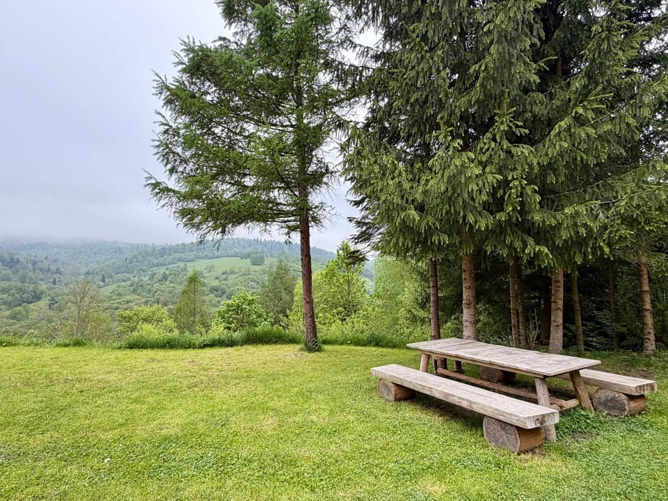 Dining area, Mountain view