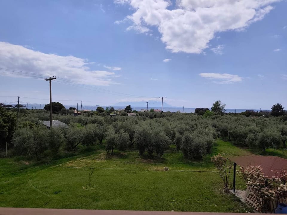 Natural landscape, Garden view